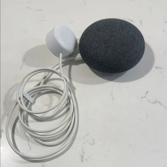 Google Home Mini in Charcoal and White Orange