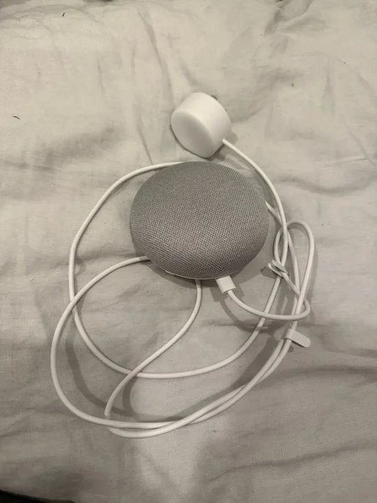 Google Nest Mini
