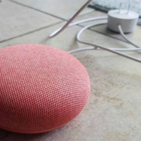 Google Home Mini (Coral)