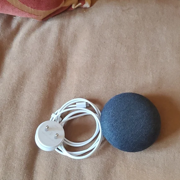 Google home with UK adapter