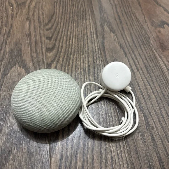 Google Nest Mini in Light Gray with Charger