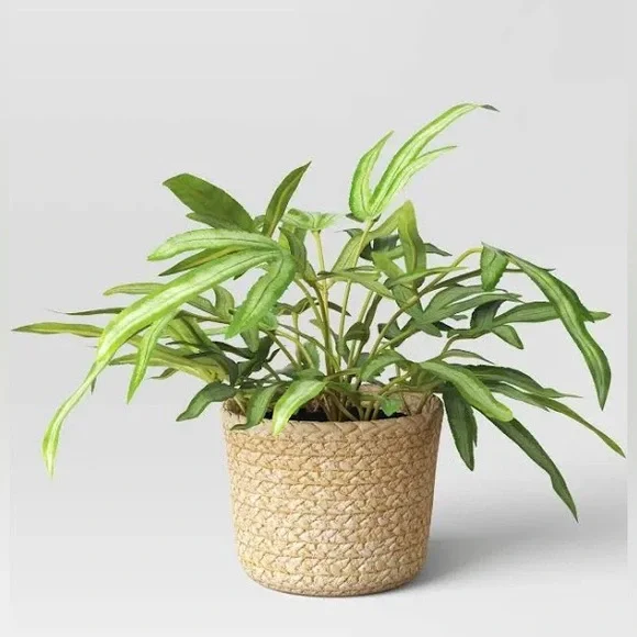 THRESHOLD NWT faux fern plant in Rattan basket -12”