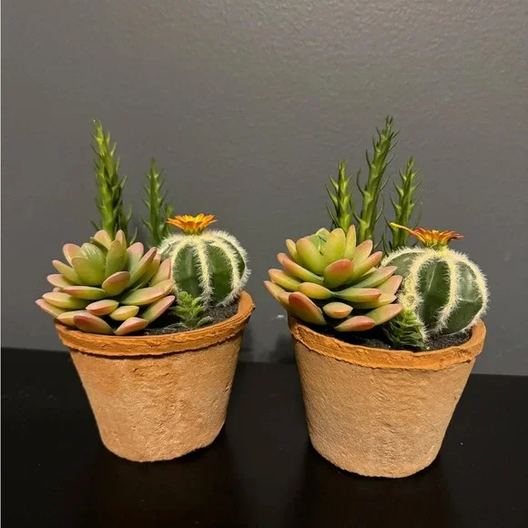 Fake succulent decor set of 2