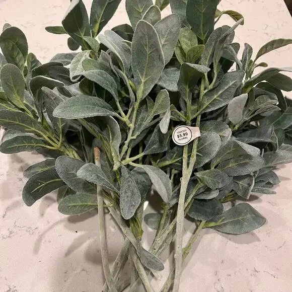 13 Lamb’s Ear Stems