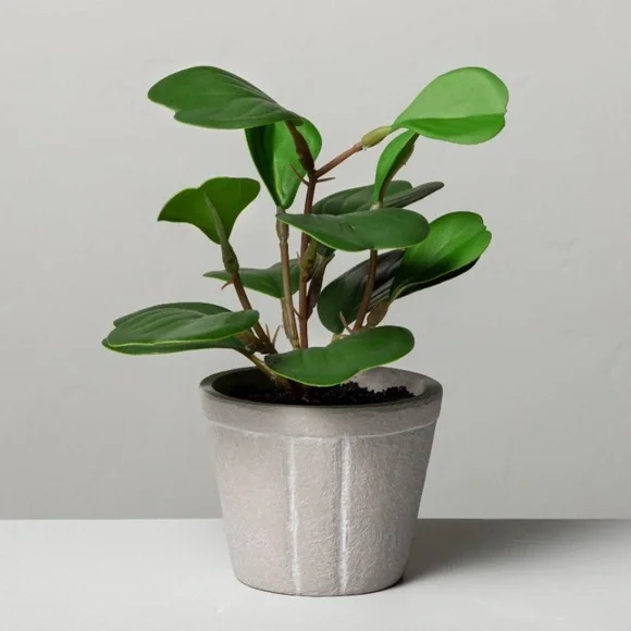 HEARTH & HAND NWT mini faux Hoya heart potted plant -7”