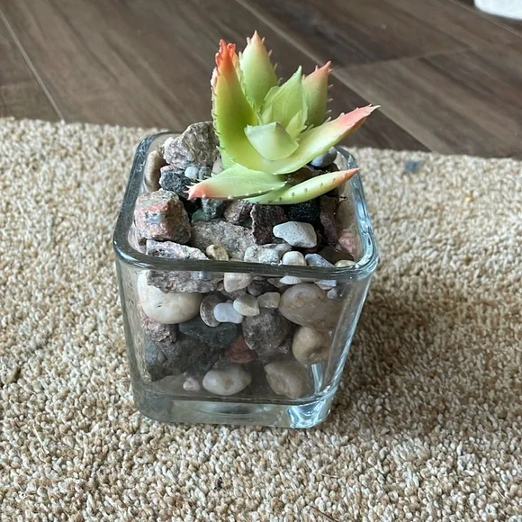 Square glass faux succulent
