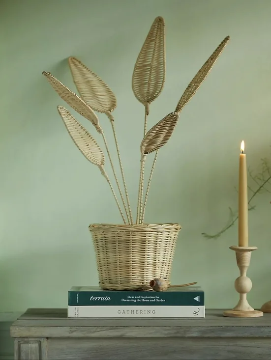 Anthropologie Terrain unique HTF wicker Bird Of Paradise plant