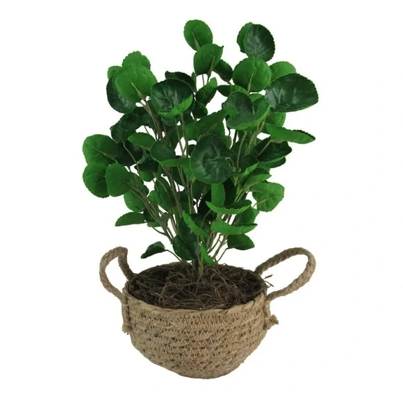 Sonoma Goods For Life Artificial Greenery Basket