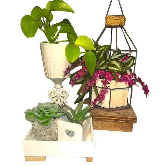 Succulent House Planter Pot Faux Arrangement Tray White Wood Accents Eco