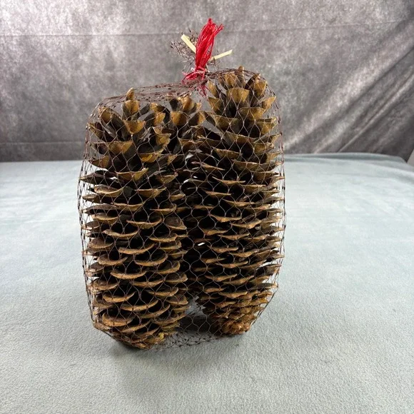 Large Natural Decorative Pine Cones Set of 3 Brown Mesh Bag Red Bow Rustic Decor