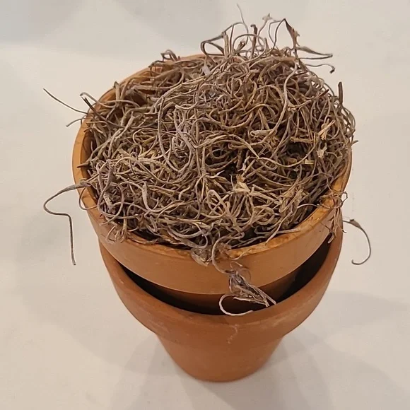 Faux Mini Clay Pot Bundle