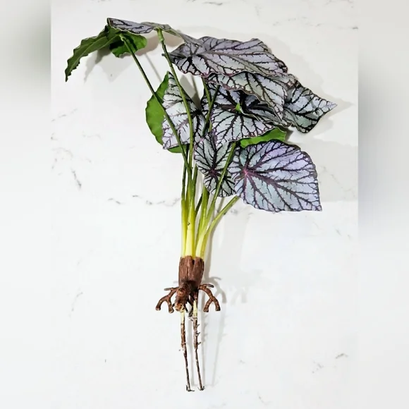 Decorative Faux Plant with Purple and Green Leaves Painted Leaf Begonia