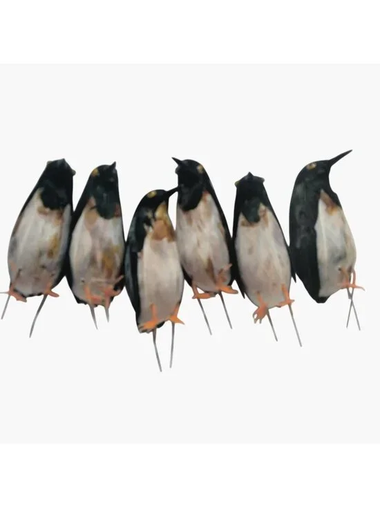 Penguin Figurine Feathered Craft Pick Floral Arrangement Diorama 3 inch Lot 8
