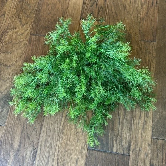 FAUX FLORAL~ASPARAGUS SPRENGERI~TRAILING FERN BUSH~PERFECT BURST OF COLOR~G2T
