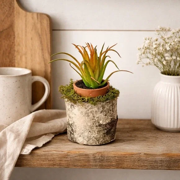 Handmade Artificial Succulent in Birch Log‎ with Moss Rustic Woodland Home Decor