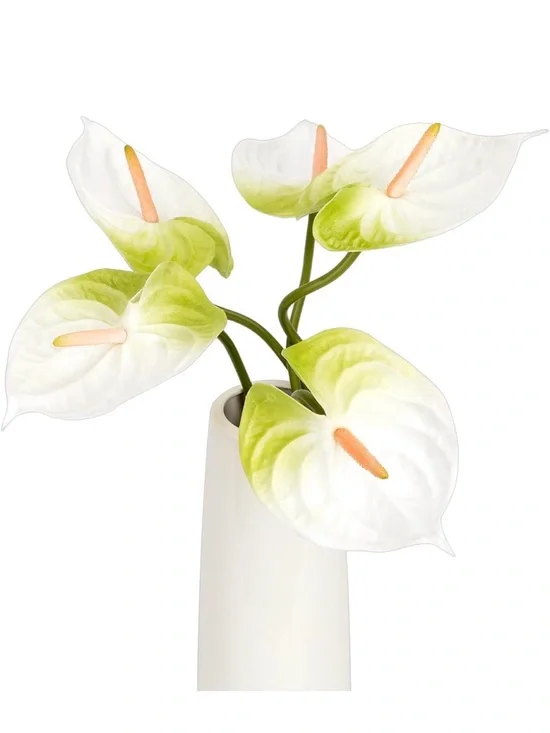 NIB Anthurium Faux Florals Real Touch 6 Pcs White,Centerpiece,Bouquet,Vase