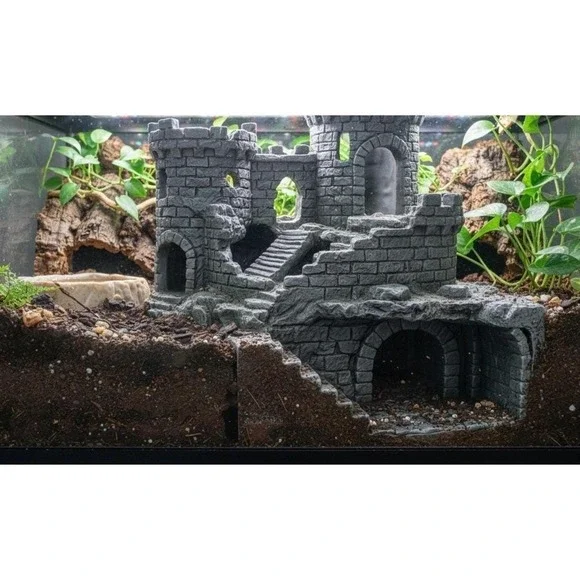 Crumbling Castle Hide and‎ climb - Underground Viewing dungeon