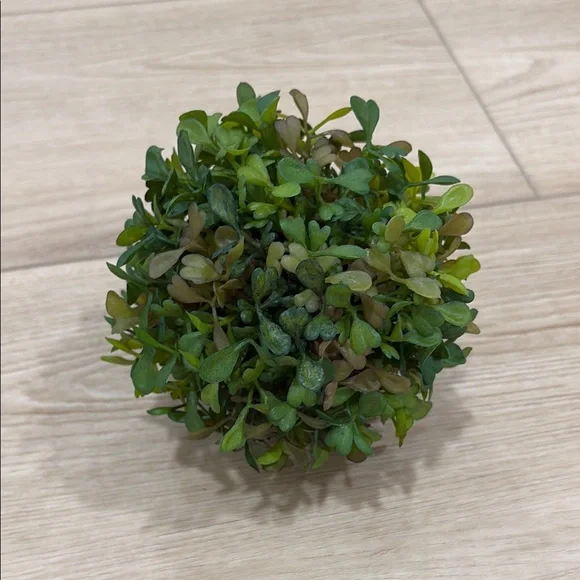 Faux Greenary Topiary Ball Pier 1