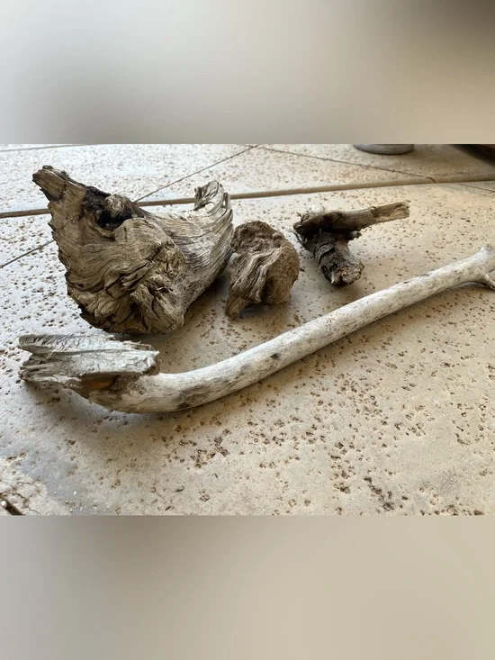 Natural Driftwood Bundle - Assorted Weathered Wood Pieces