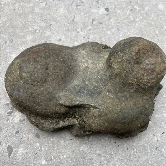Natural Limestone Rock With Concretions Picked From Natural Creekbed Offgrid TN