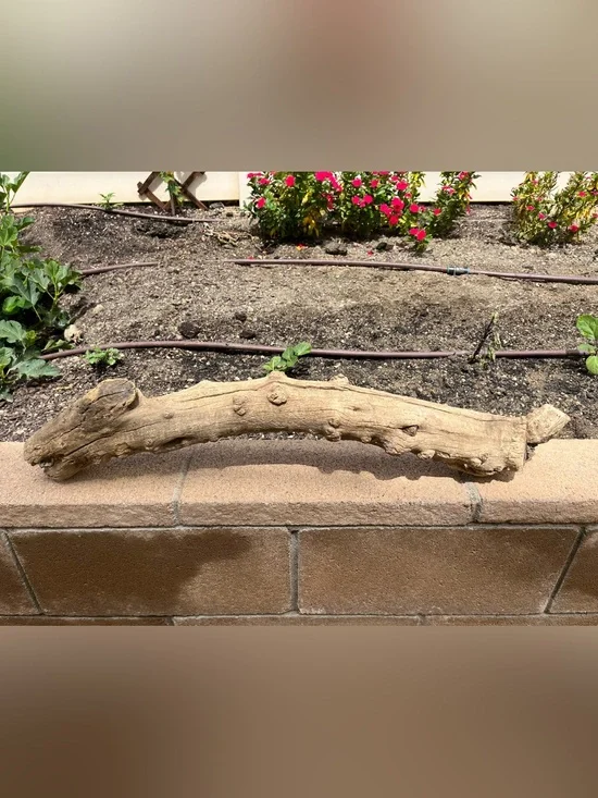 Natural Driftwood Climbing Branch for Reptiles