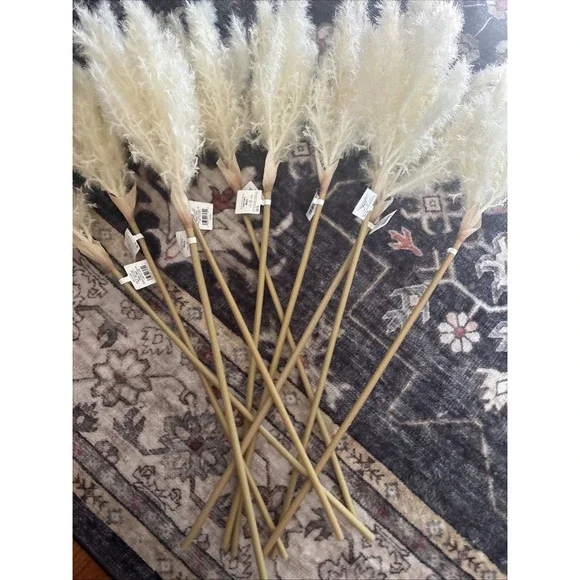 Faux Pampas Grass Stem Branch Beige - Threshold 10 Pieces Indoor Decorative