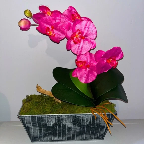 Hot pink potted silk orchid plant
