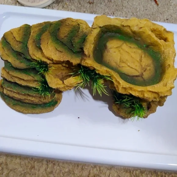 Reptile island