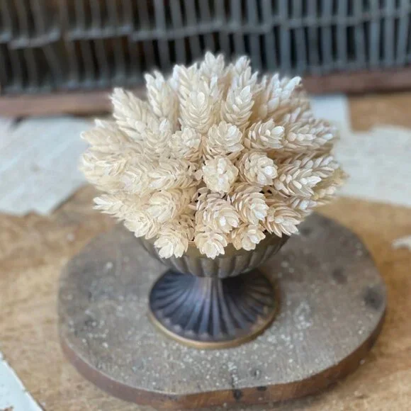 Pearl Hops Half Sphere