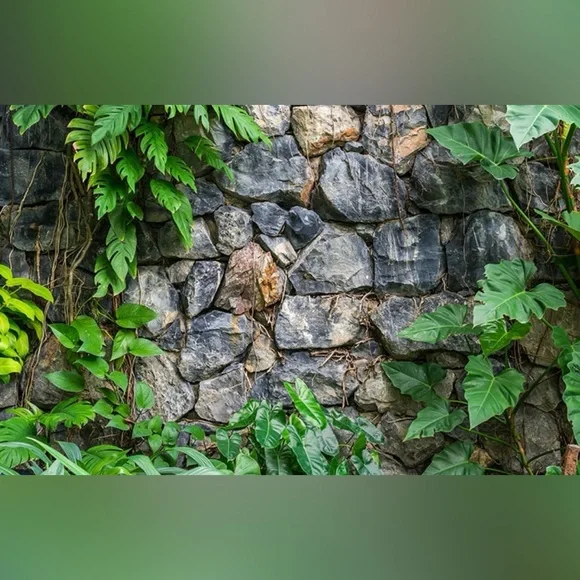 Aquarium / Terrarium Background