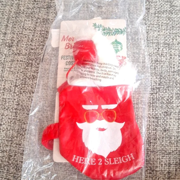 Yeti Costumes Bearded dragonBearded Dragon Festive outfit