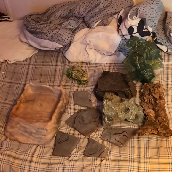 reptile supplies