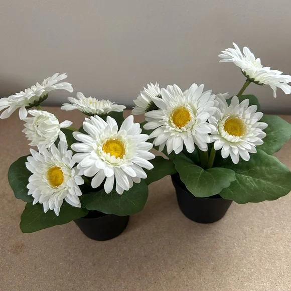 IKEA Faux White Daisy in Black Pot Set of 2