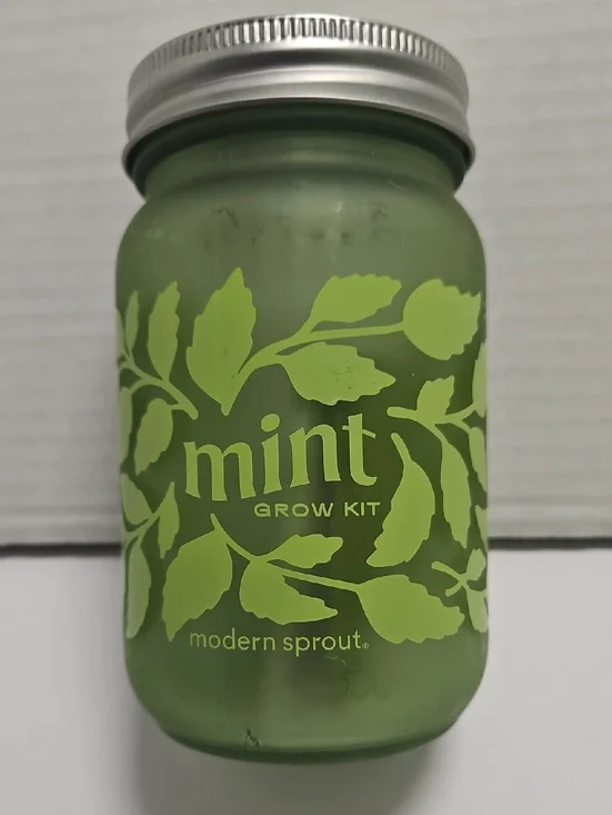 Mint Grow Kit - Green