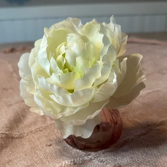 Elegant Cream Peony in Pink Vase (17)