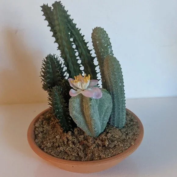 NEW Ashland Faux Multi Cactus Plant Floral Succulent Michael's Desert Summer NWT