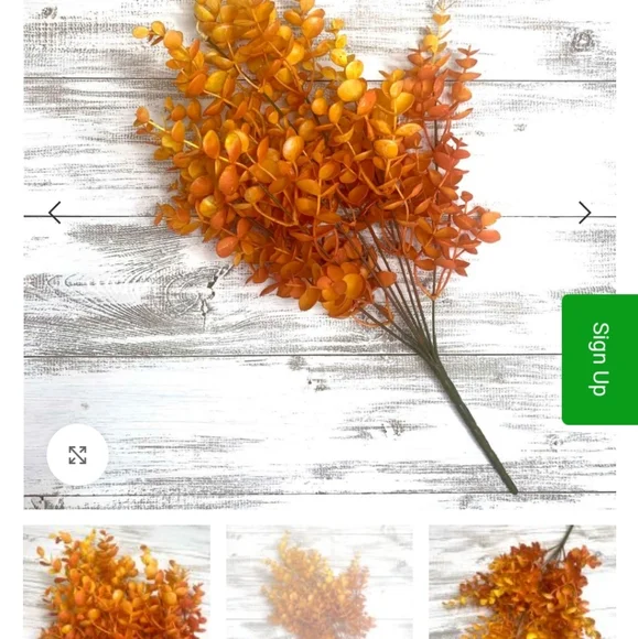 Vibrant Orange Faux Eucalyptus 12 pack coffee color