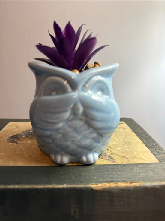 Ceramic Owl Planter in Light Blue