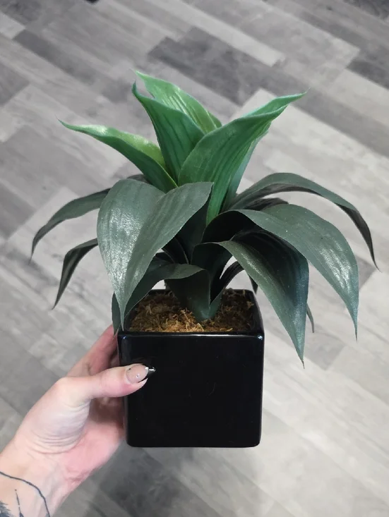 Green Faux Potted Plant in Black Ceramic Planter