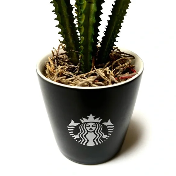 Cute Cactus in Starbucks shot
