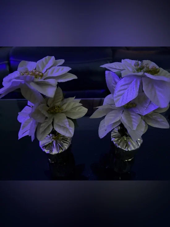 White Poinsettia Artificial Floral Accent - Unbranded