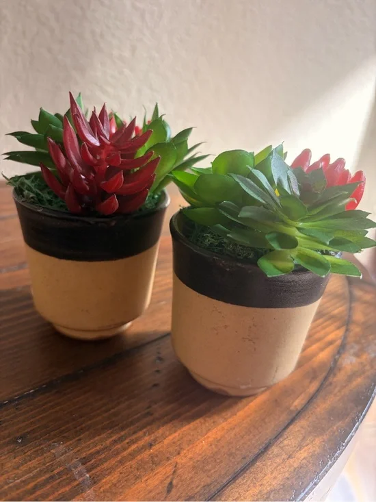 Mini Faux Succulent Duo with Red Accents in Tan & Brown Planters
