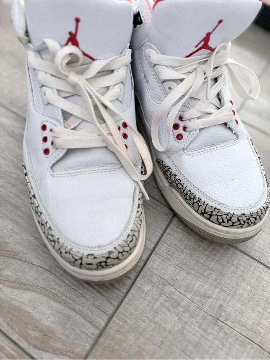 UA Jordan 3s