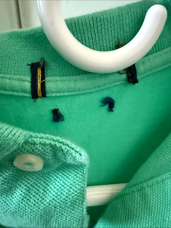 Polo Ralph Lauren Sunset Green Men’s S Polo shirt