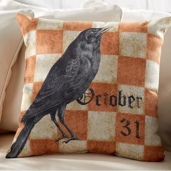 Pottery Barn Rare Halloween October 31st Crow Raven 20” x 20” Throw Pillow