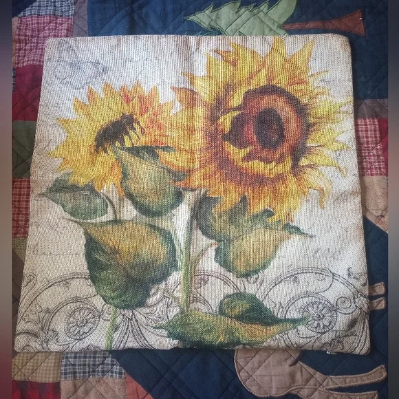 Throw pillow pillow cases