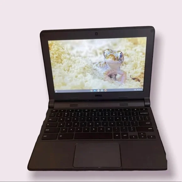 Dell chrome book 11 3120