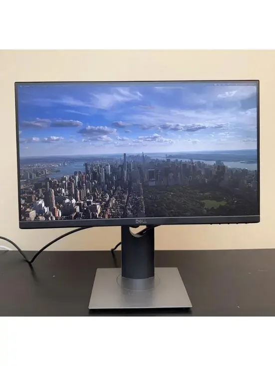 Dell P2219H 21.5-inch Full HD 1920x1080 Adjustable Stand Monitor