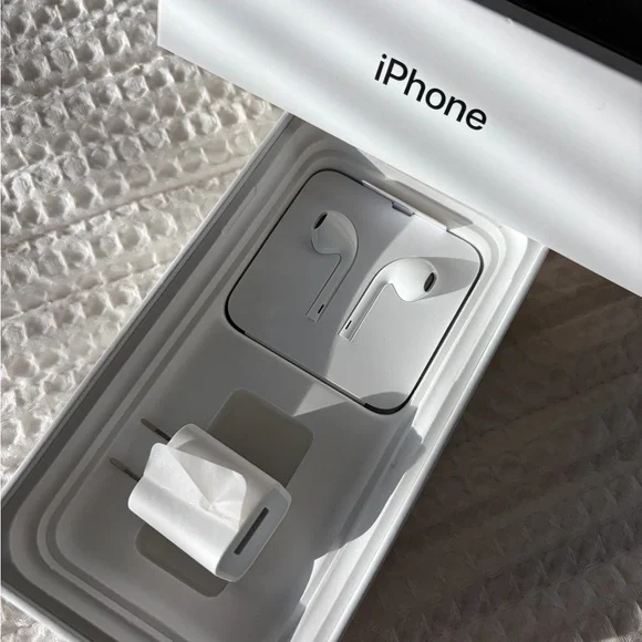 Apple EarPods with Lightning and USB Power Adapter