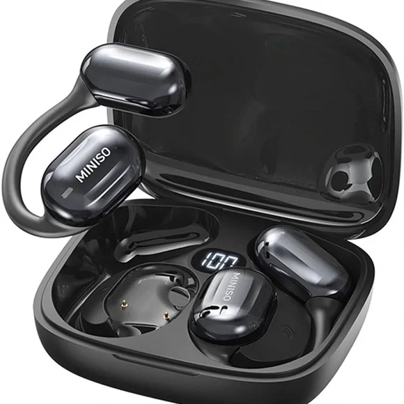 Translation Earbuds, new